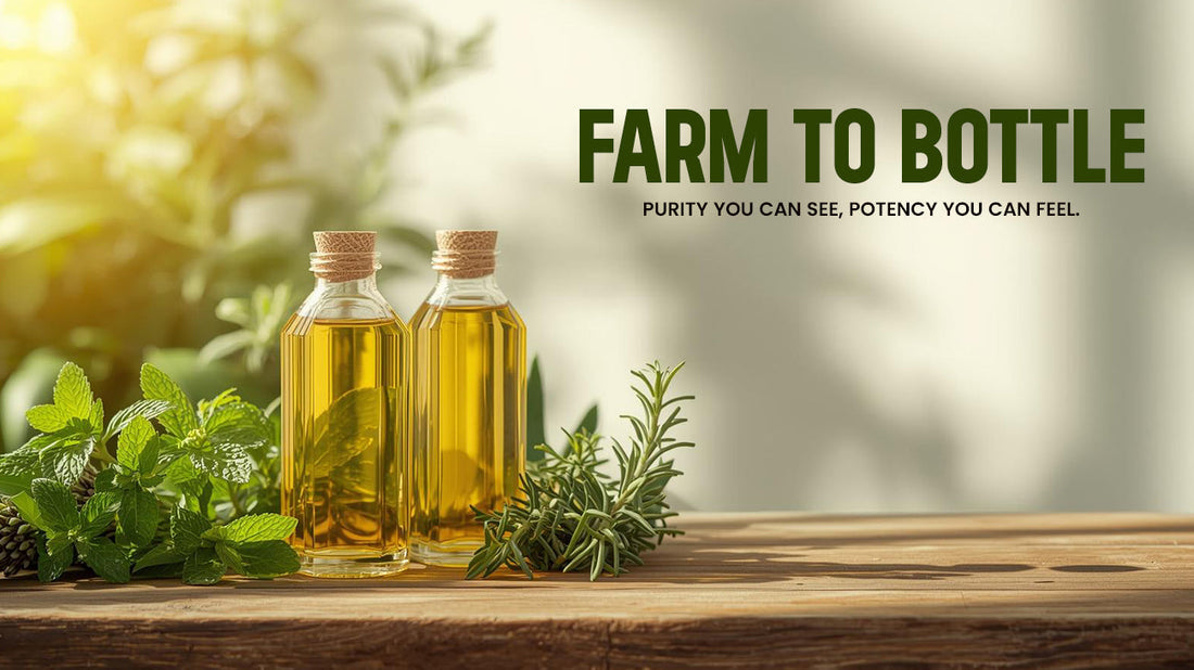 From Farm to Bottle: How IM Herbs Ensures Purity and Potency in Every Product